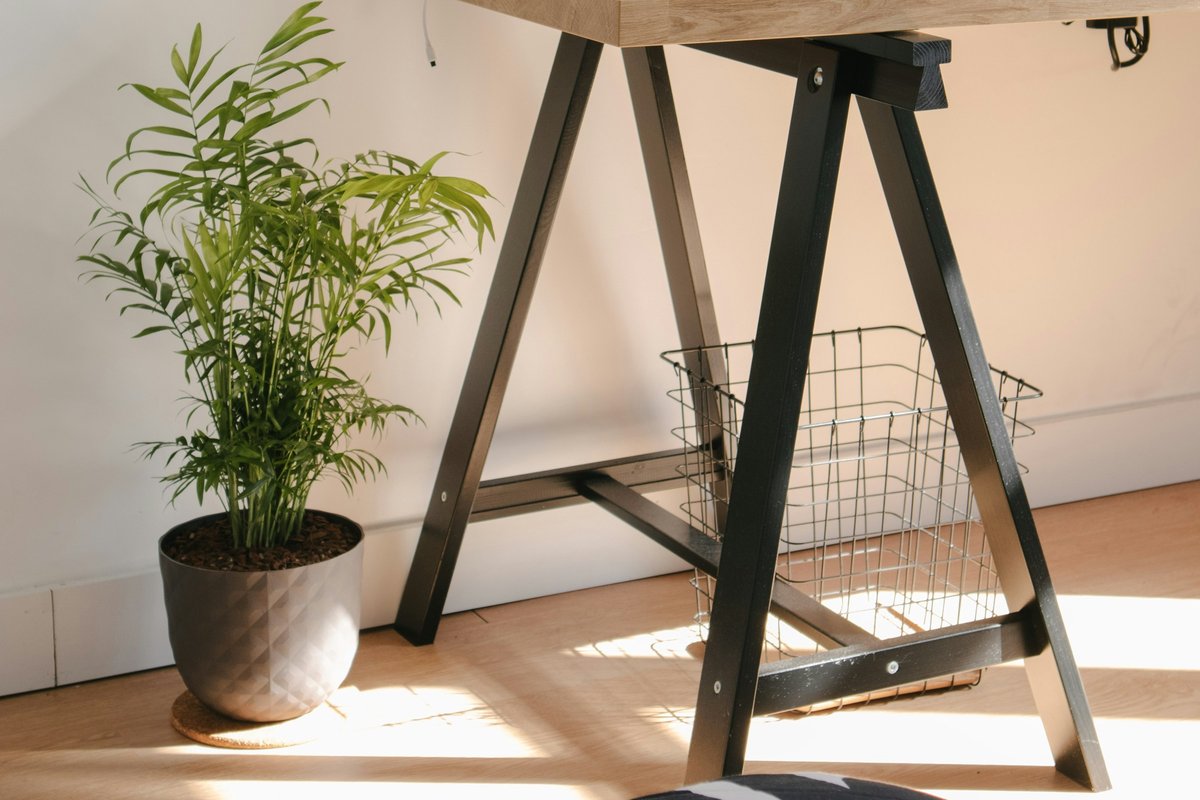 机の脚元にある観葉植物と針金のかご